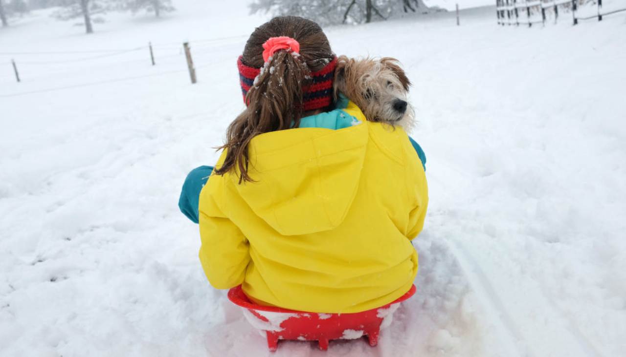 Rapporto speciale bambino e cane 