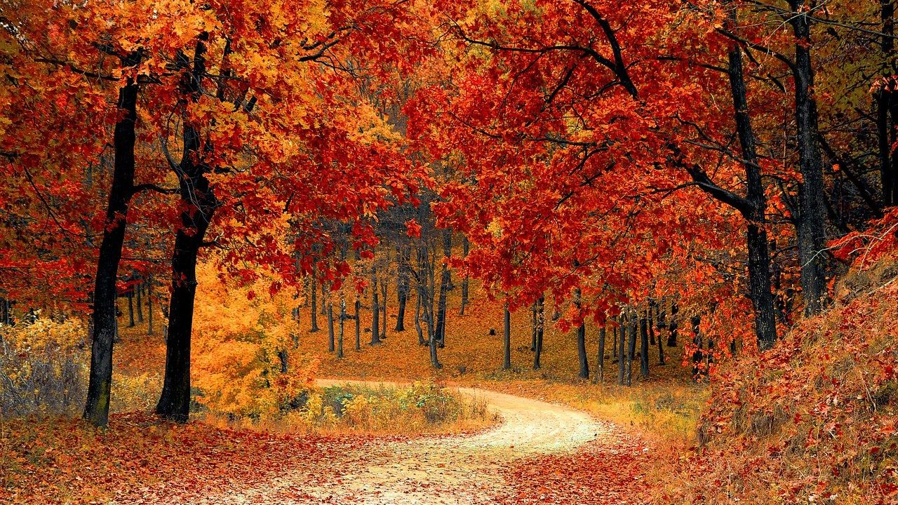 autunno san martino
