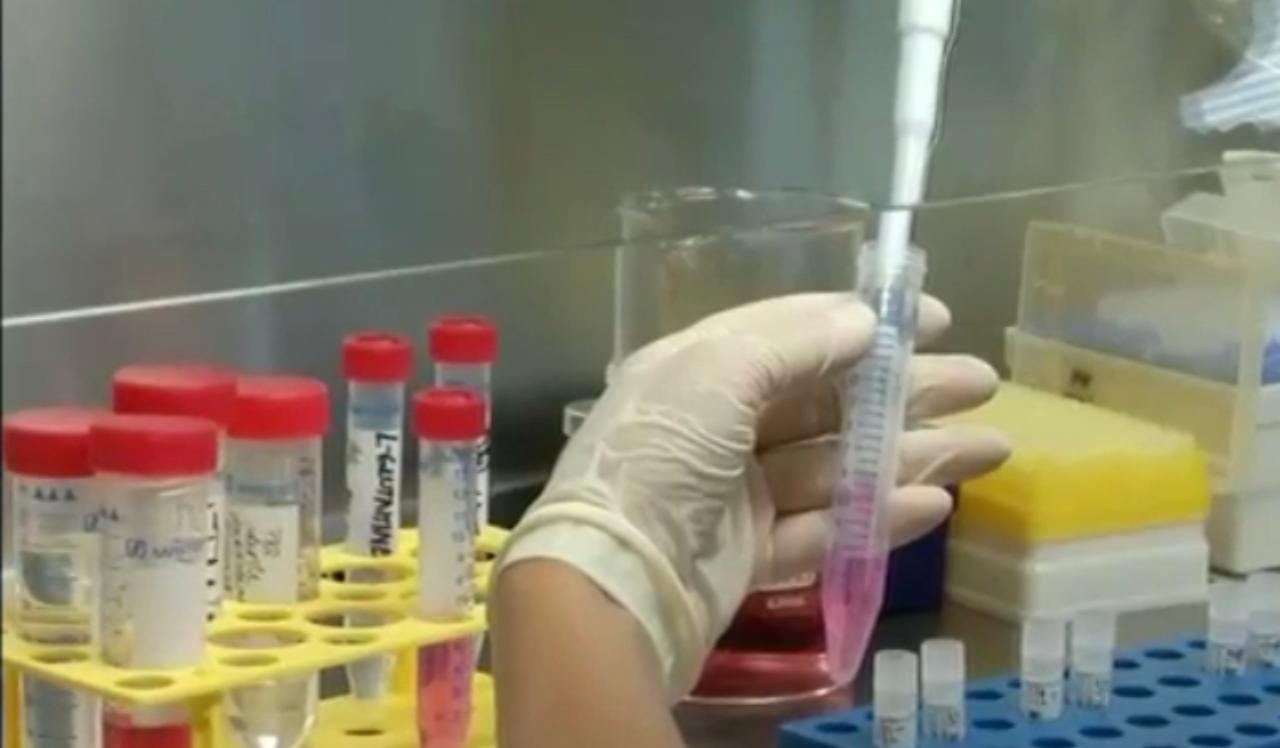 como dottoressa vaccini