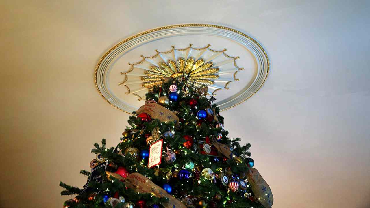 Napoli, rubato l'ennesimo albero di Natale