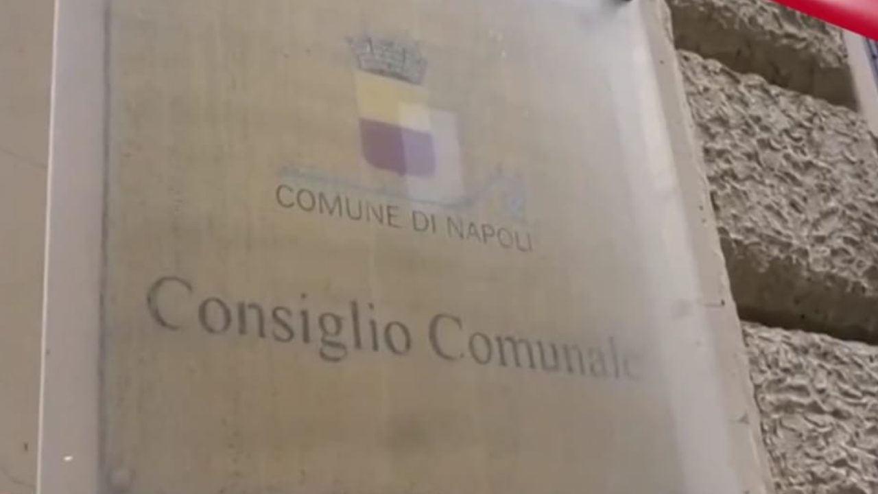 Consiglio Comunale Napoli, rubato albero di Natale 