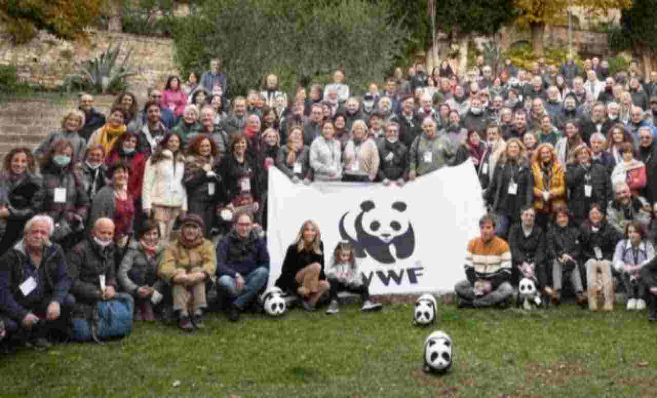 WWF