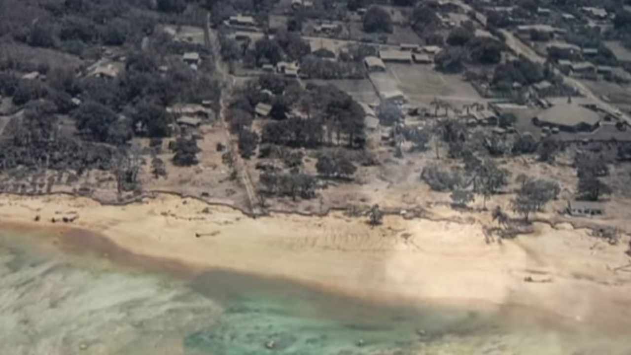 Tonga, arriva una storia a lieto fine