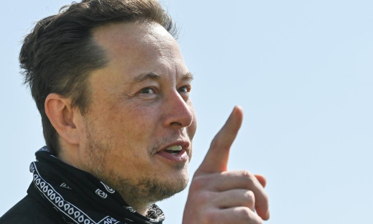 musk