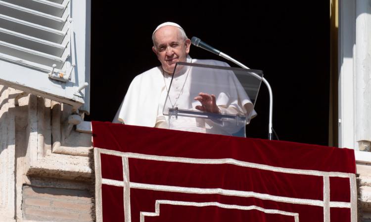 papa francesco angelus