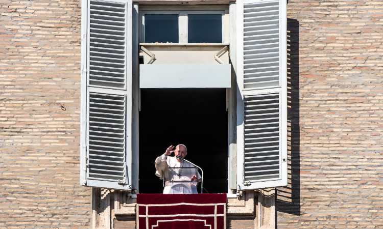 papa francesco angelus