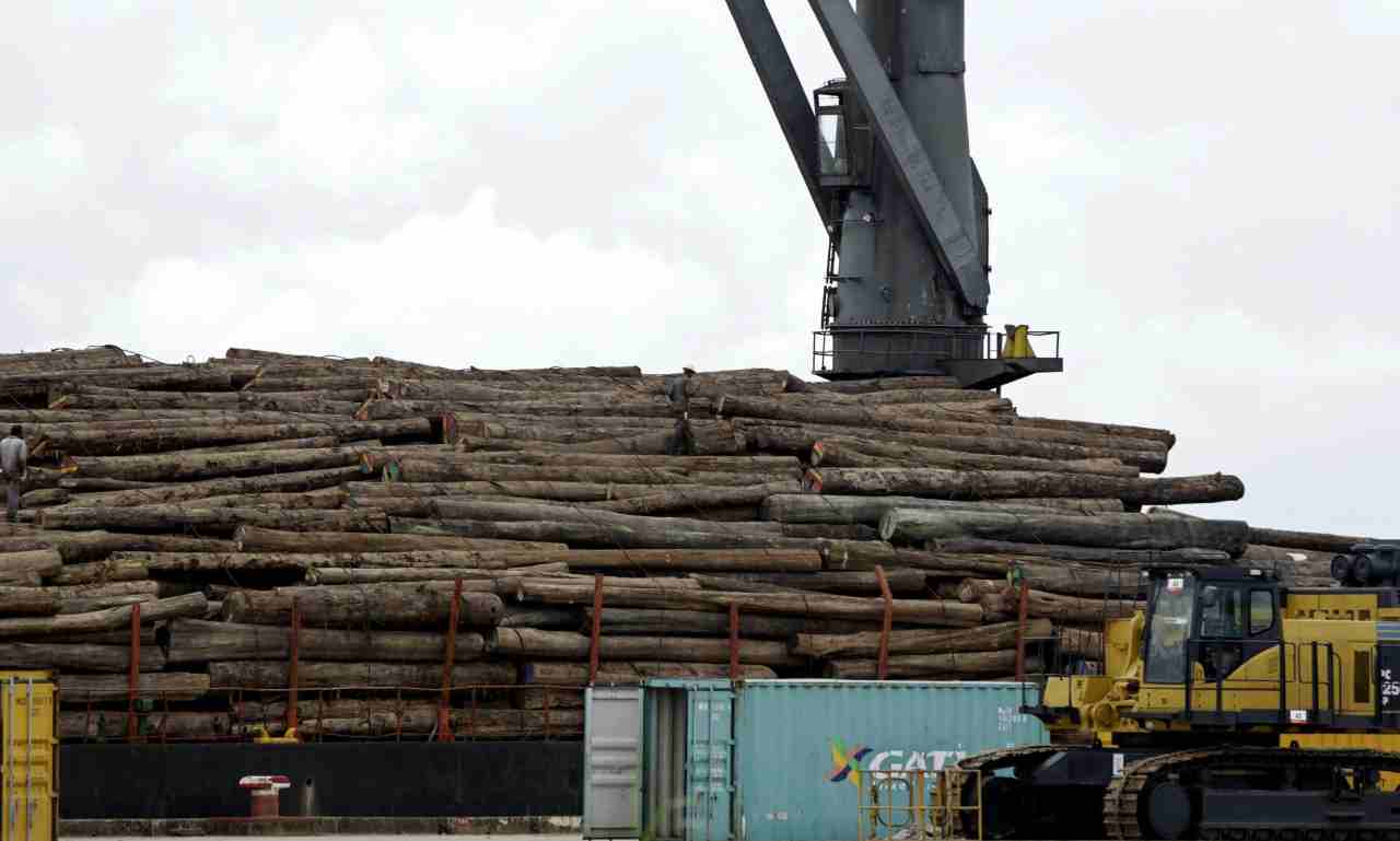 Legno