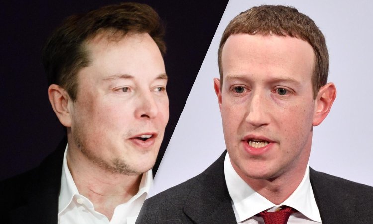 Musk e Zuckerberg