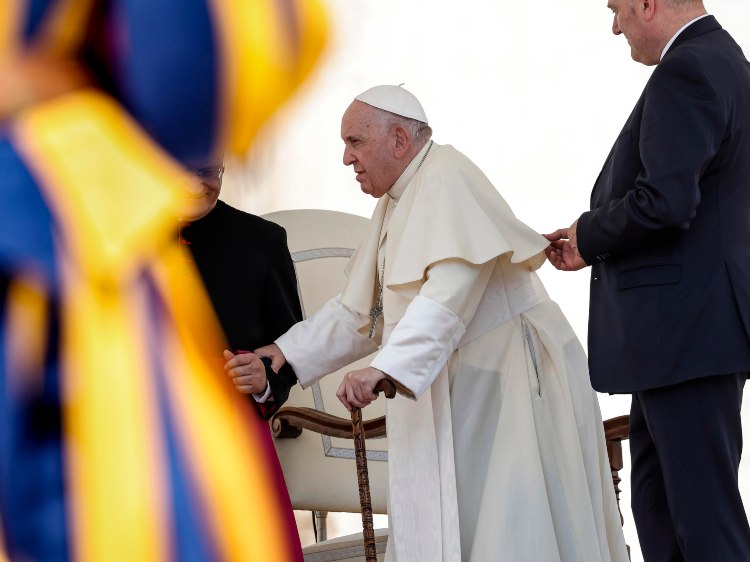 Il Papa all'udienza generale (Foto Ansa)