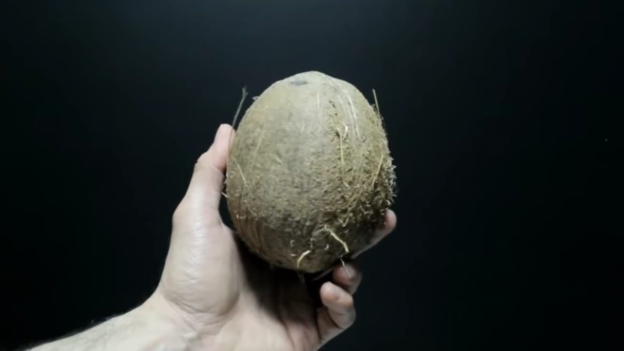 Noce di cocco, rimedio efficace contro il caldo