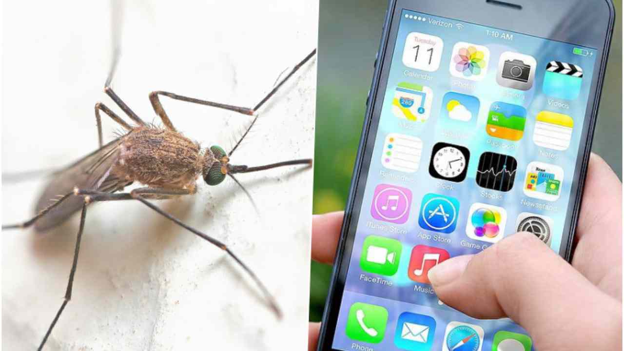 App per zanzare