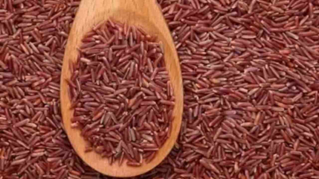 Tutto quello che non sapevi sul riso rosso