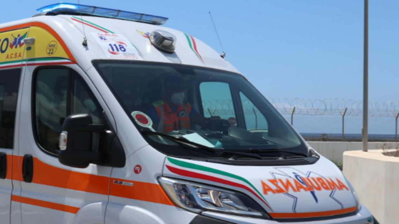 Fa sesso con il cane, evirato per via dell'infezione