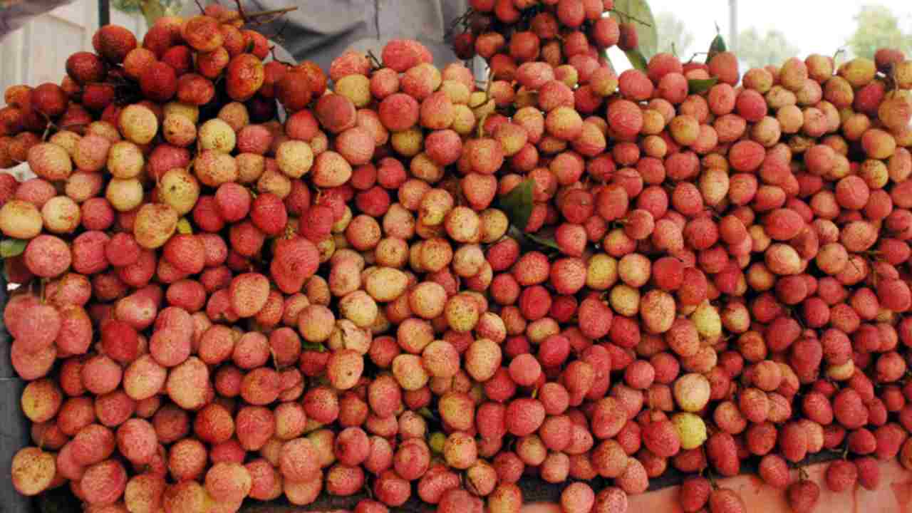 Tutto quello che non sapevi sul Litchi