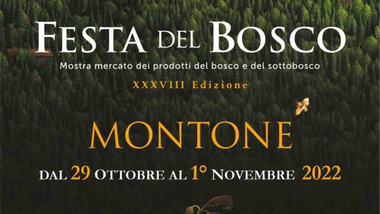 Festa del bosco Montone