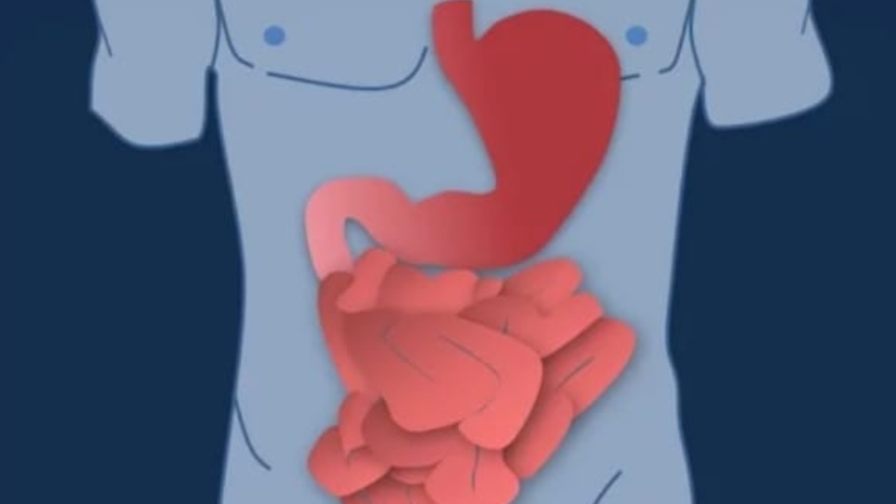 Intestino, tutto quello che dovresti sapere