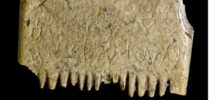 Come Scegliere E Come Usare Bene Un Pettine Da Barba? - Suggerimenti - Foto 8