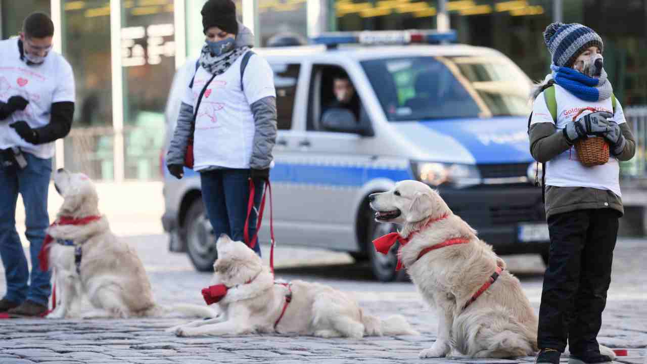 Il cane