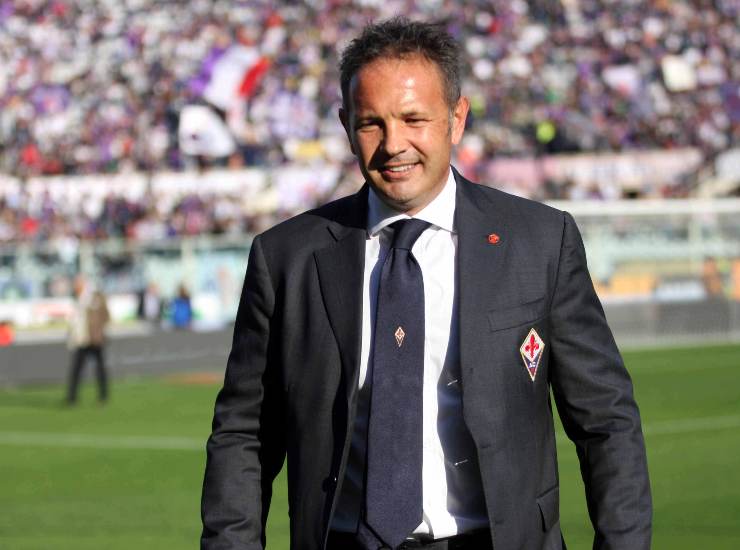 Mihajlovic Fiorentina