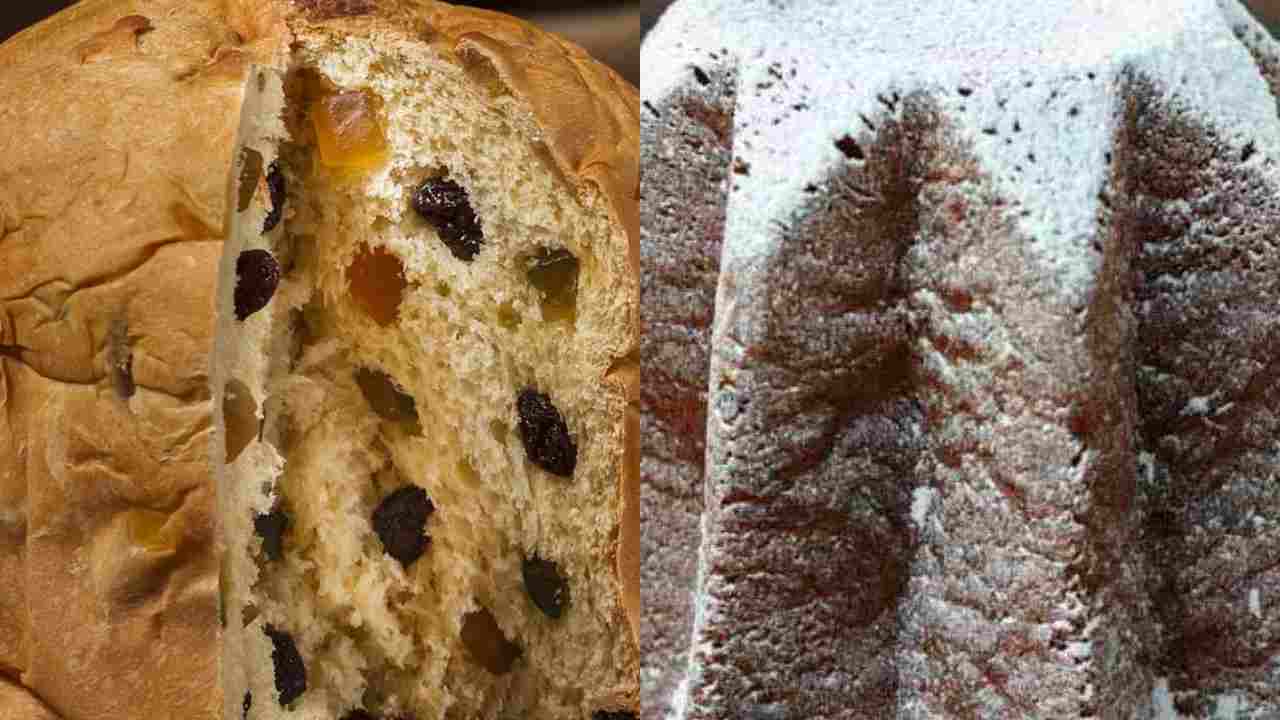 Panettone e pandoro