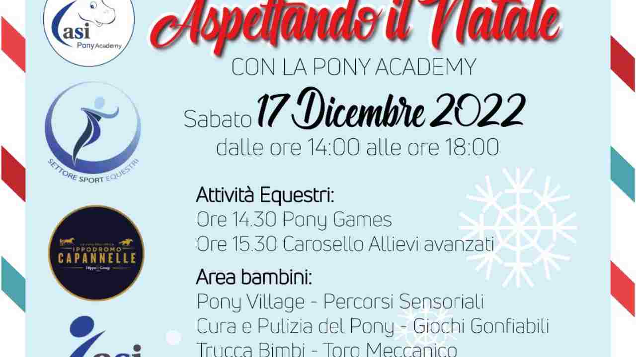 Pony Academy Centro Tecnico Asi