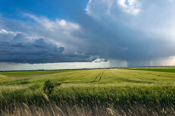 Wop coltivazione ottimale Politecnico Milano start app innovativa migliori agricoltura