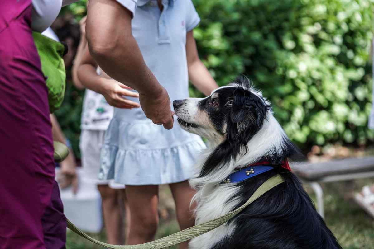 L'animale per eccellenza