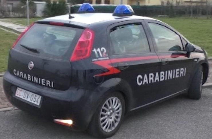 Pitbull abbattuto dai carabinieri