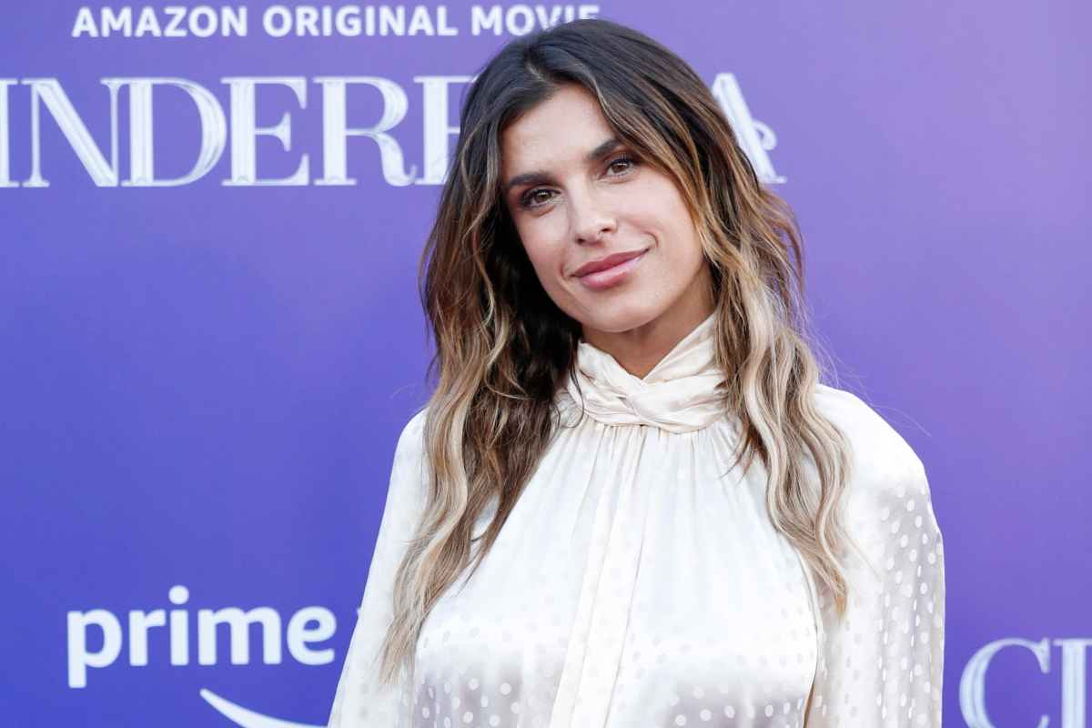 Elisabetta Canalis divorzio