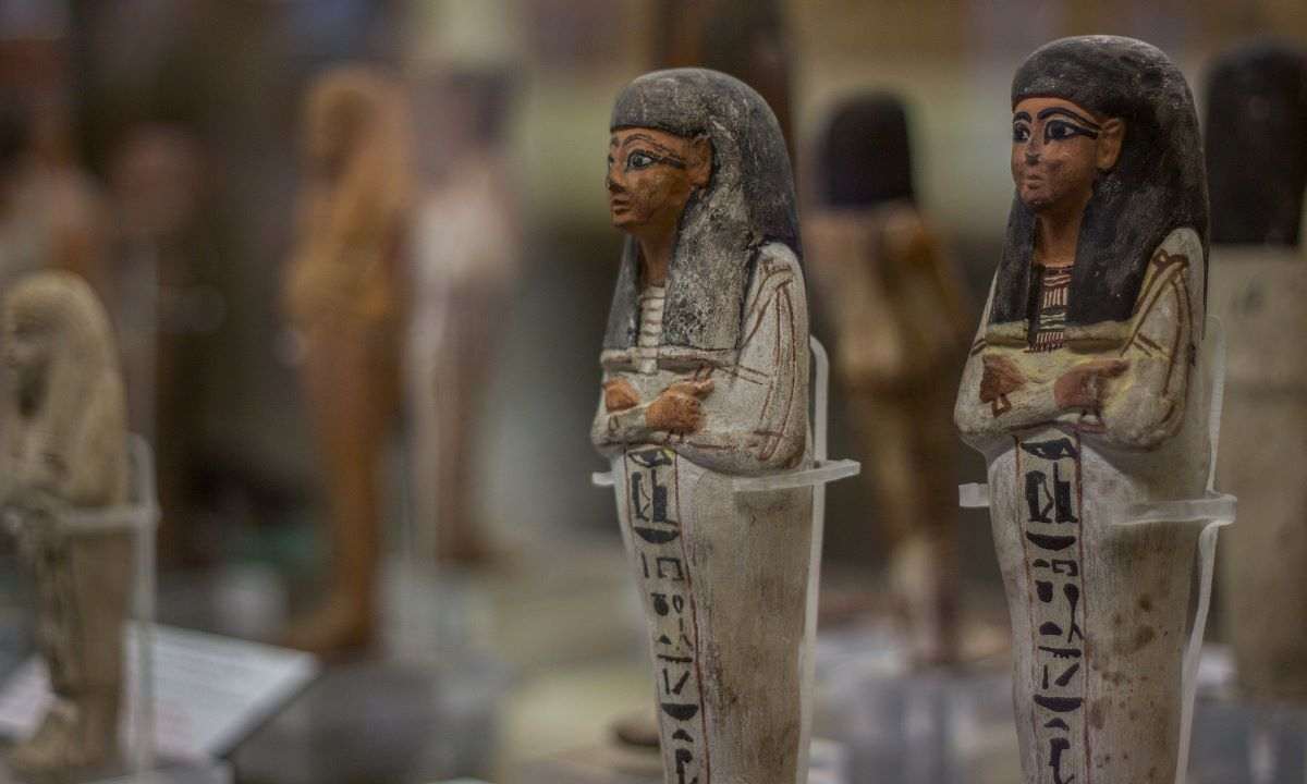 Nuove iniziative culturali Museo Egitto