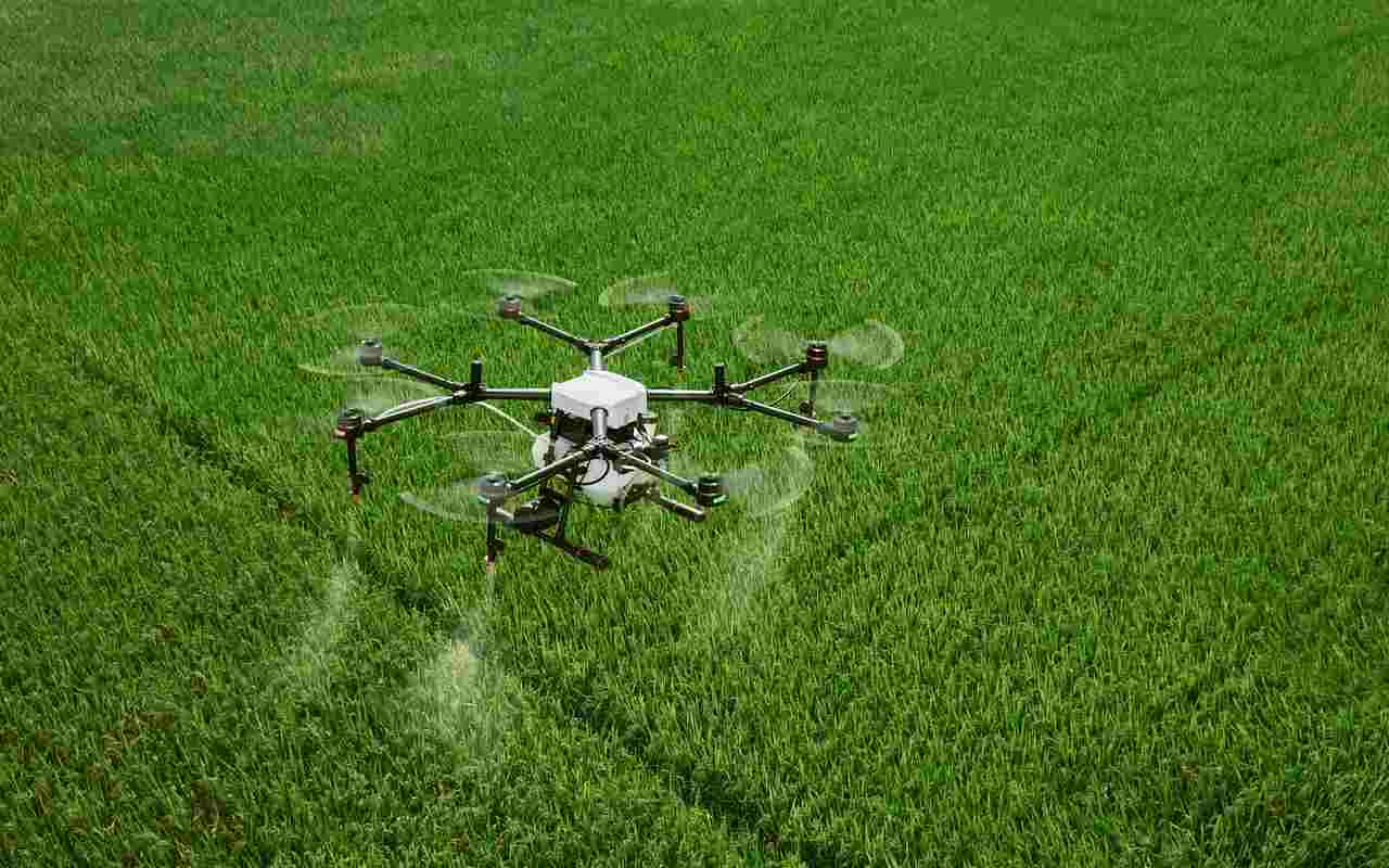 Agricoltura