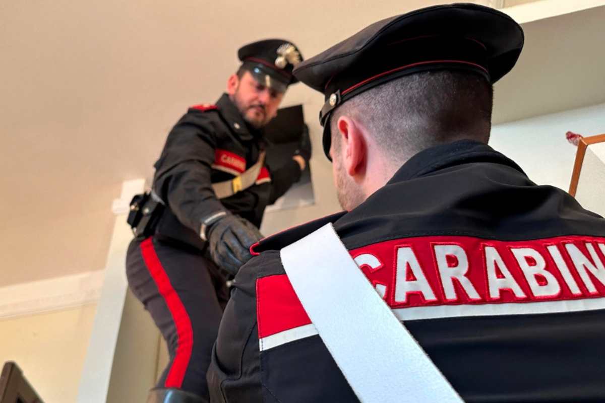 Carabinieri trovano droga con immagine 'Tom e Jerry'