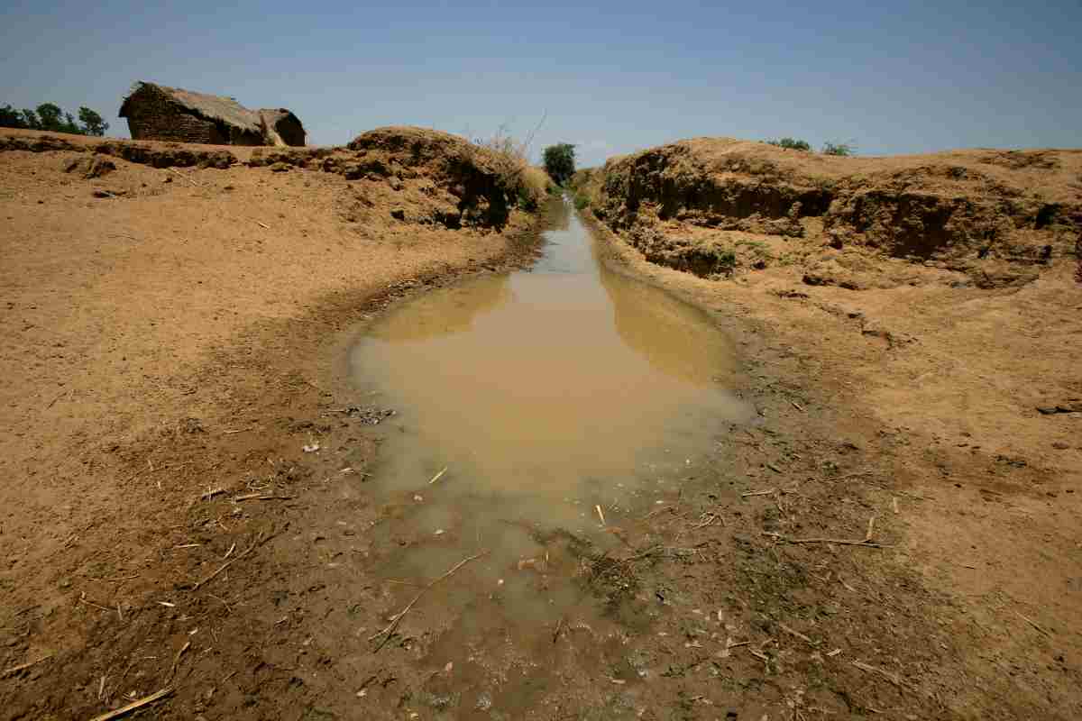 Giornata mondiale dell'acqua