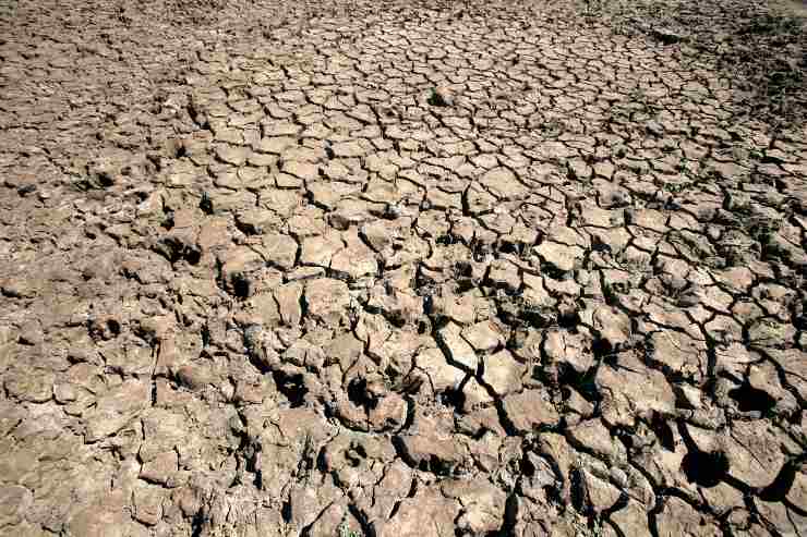 Giornata mondiale acqua