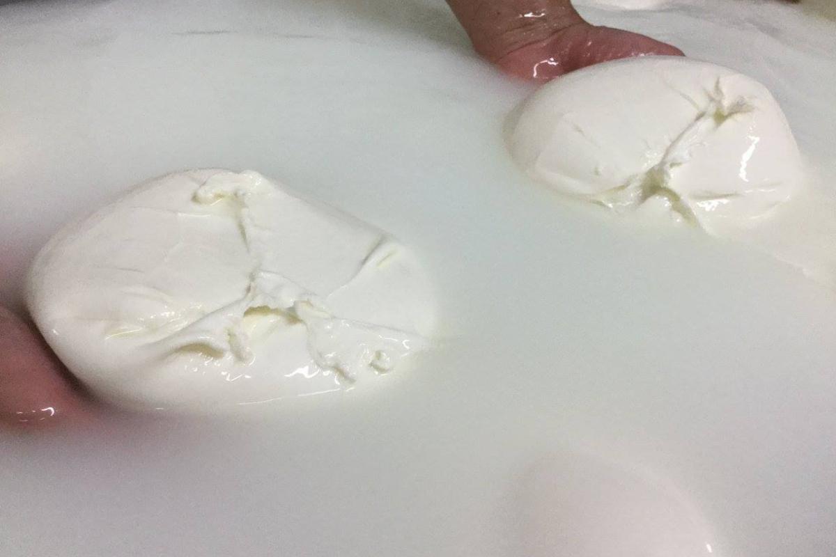 Mozzarella bufala campana Dop