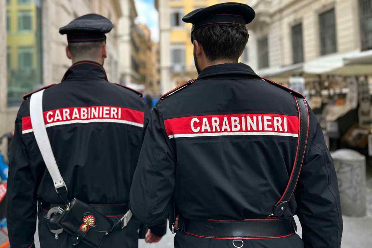 Blitz dei carabinieri