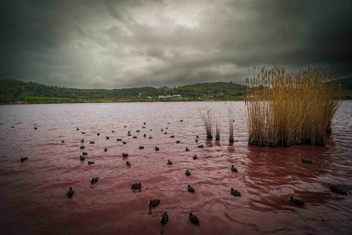 Lago Averno