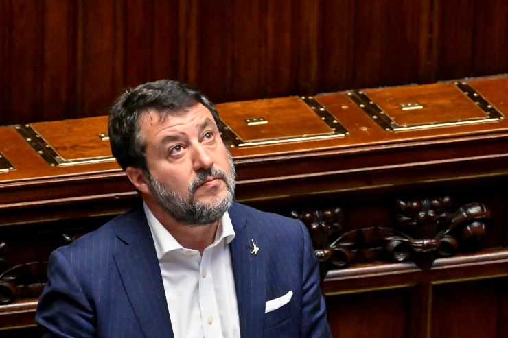 Bufera per il tweet di Salvini