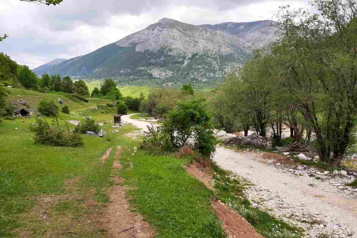 Tragedia nel Parco d'Abruzzo