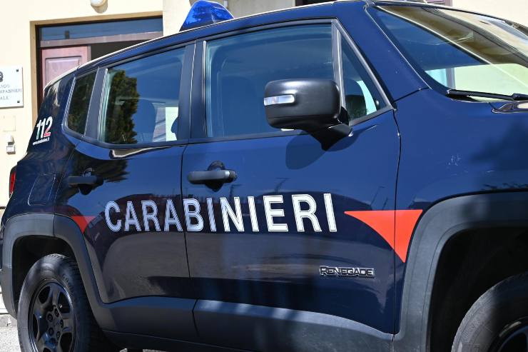 Travolto da auto mentre taglia erba