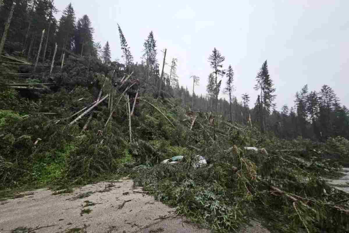 Cadore colpito da maltempo e trombe d'aria