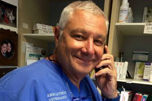 "Il fenomeno dell'abbandono degli animali è in riduzione in tutta Italia", l'intervista di Notizie.com a Marco Melosi