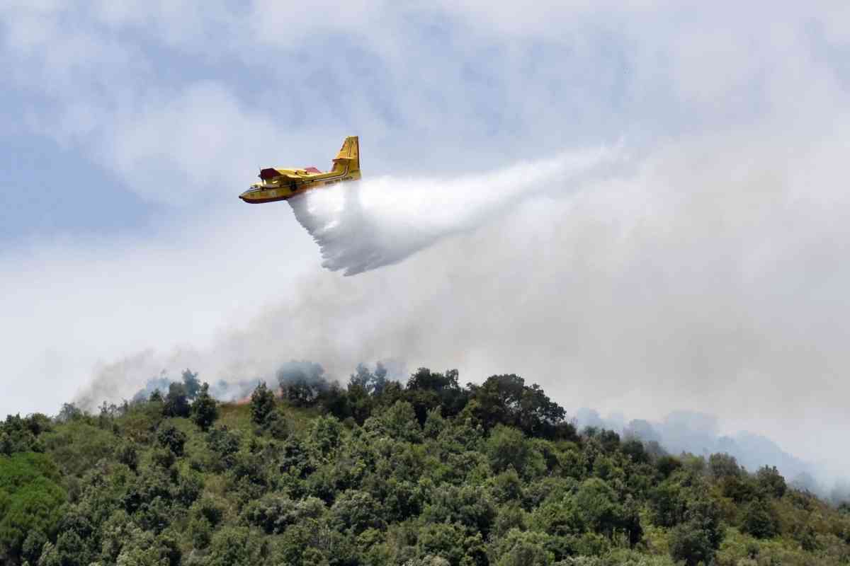 Sicilia in fiamme, l'imprenditore di Coldiretti a Notizie.com: "Forze competenti intervenuto in ritardo"