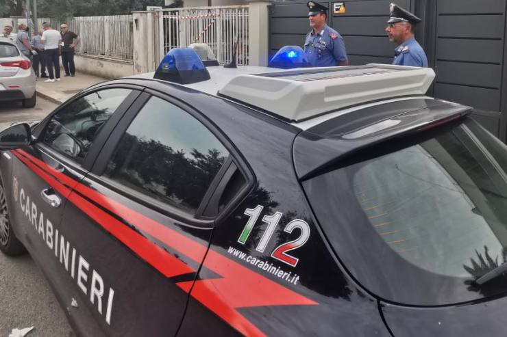 Picchia compagna ucraina