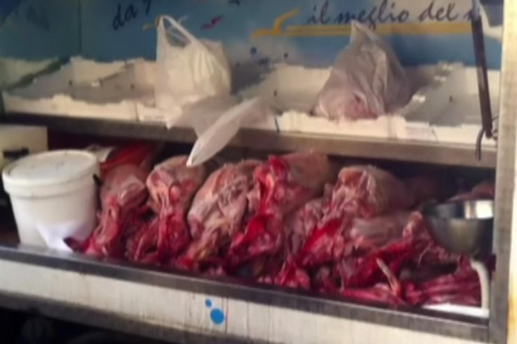 Sequestro carne a Chieti