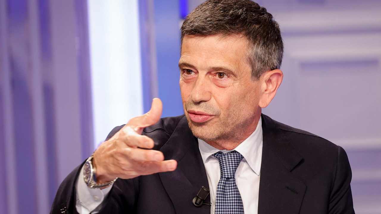 lupi 