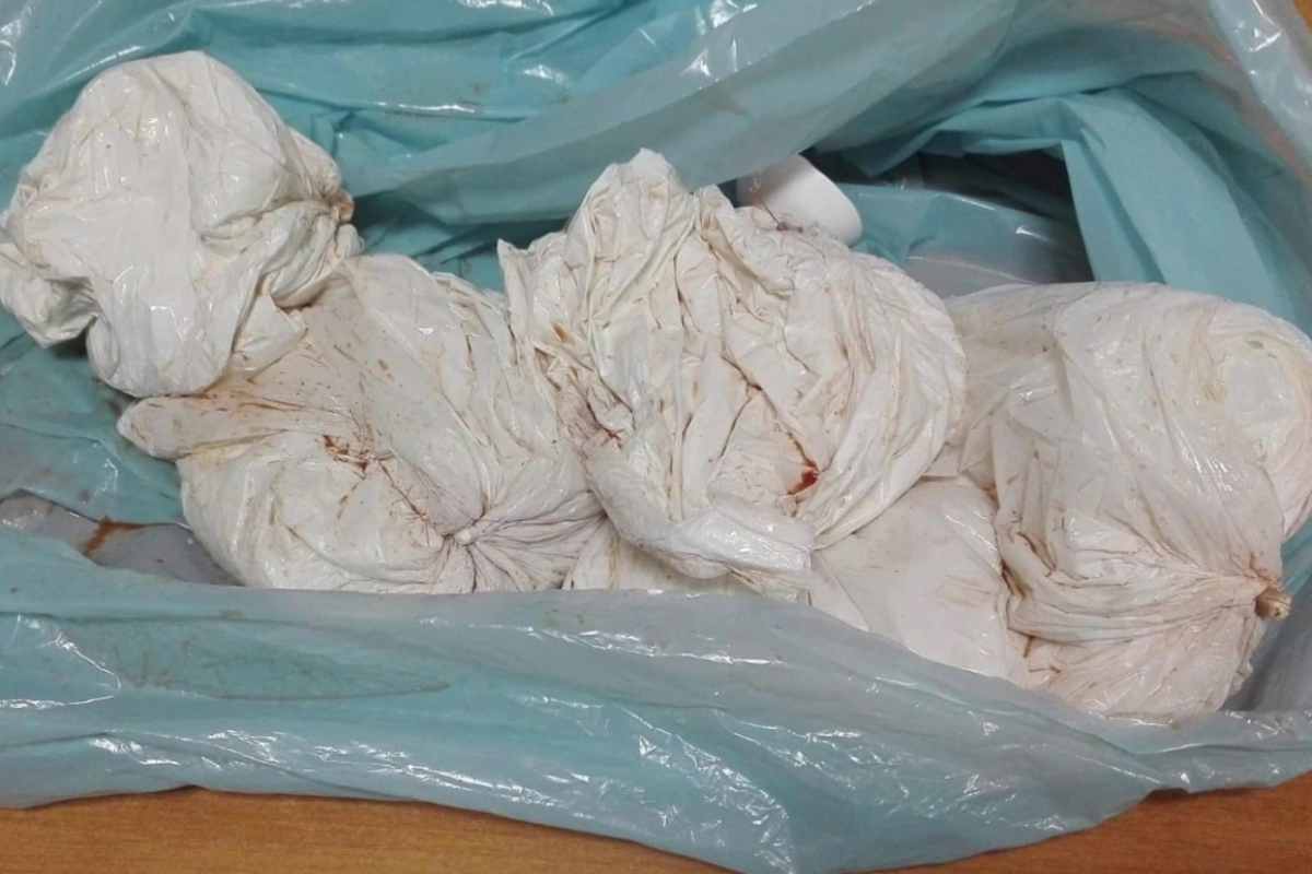 Smantellata rete internazionale