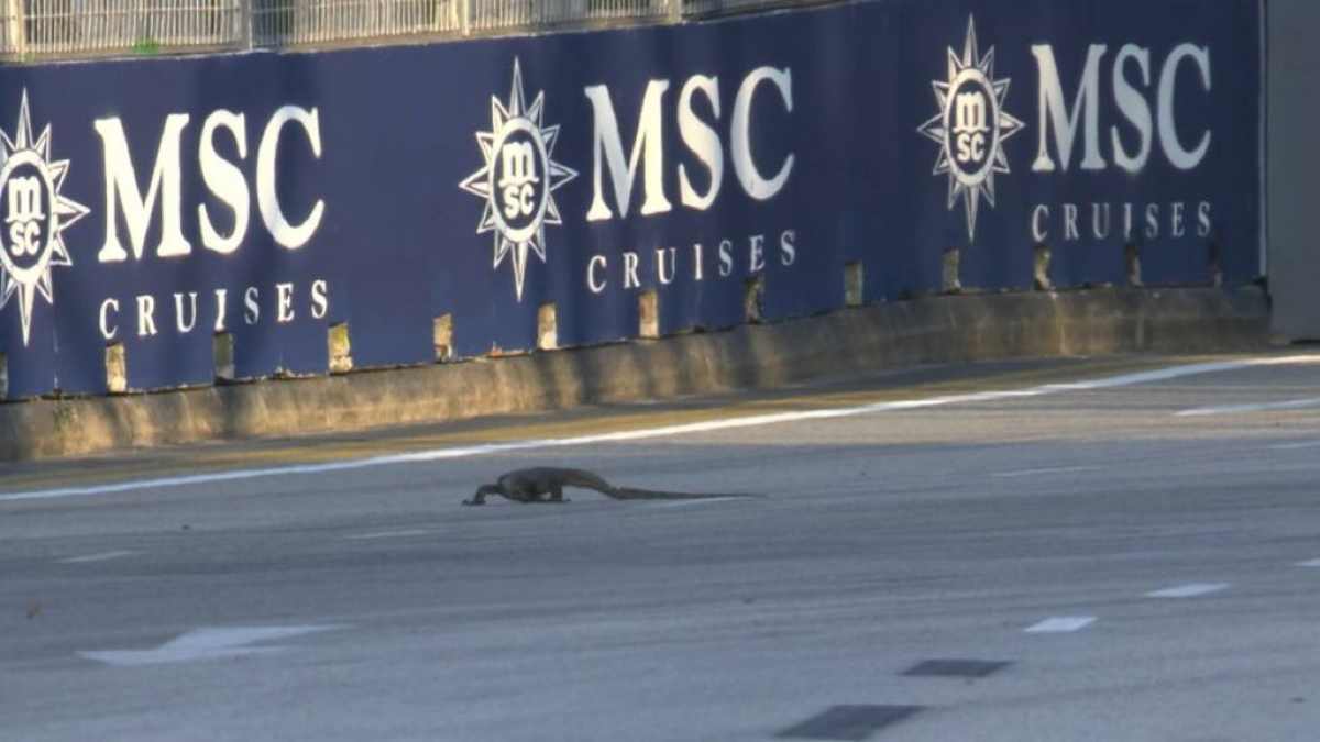 Iguana prove libere Formula 1