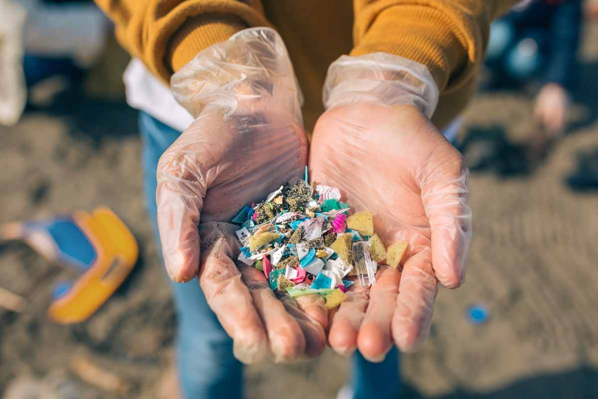 Incredibile scoperta sulle microplastiche