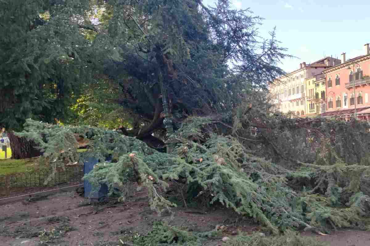 E' accaduto a Roma